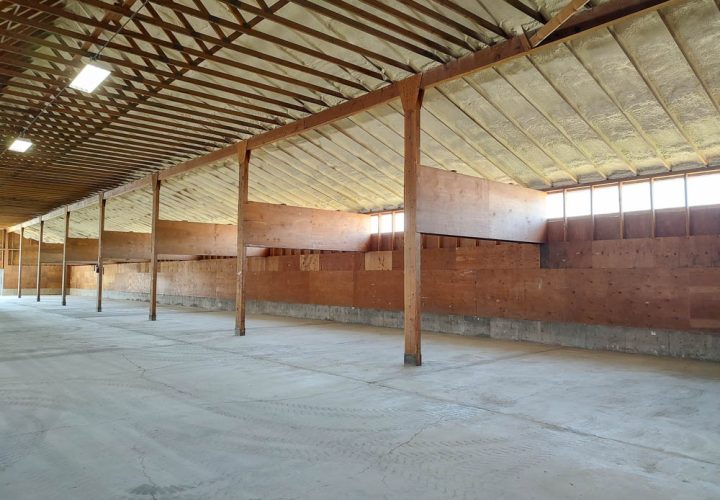 A long shot down the side aisle of a spacious barn. The high, wood-trussed ceiling is completely covered in spray foam insulation. The area is lined with tall wooden partitions for stalls, set on a clean concrete floor.