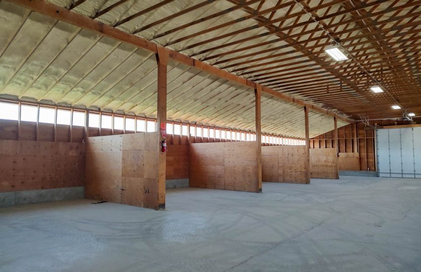 An angled view inside a large, open-span barn. The high, wood-trussed ceiling is fully insulated with spray foam. The concrete floor is clear, and the space is lined with wooden stall walls, showcasing a finished agricultural or equestrian facility.